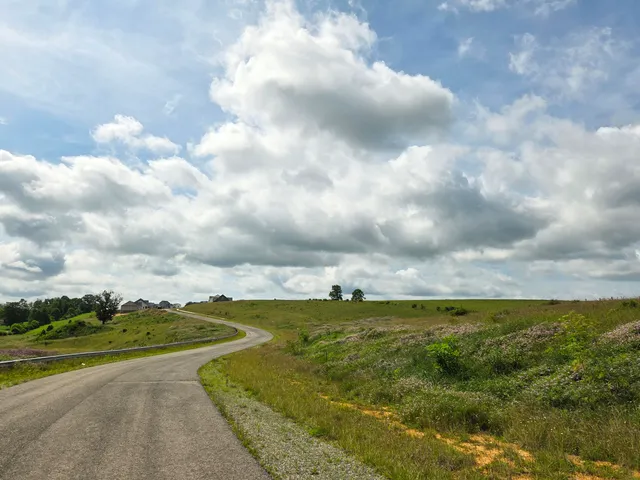 a view of a lake and covered with big trees