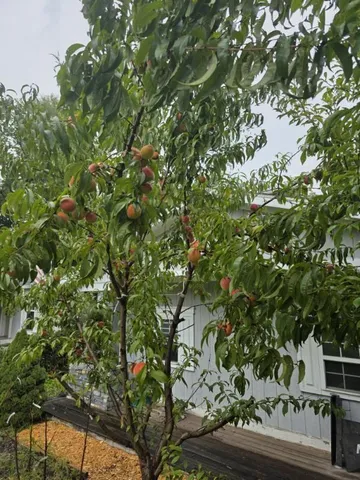 $265,000 | 2348 Segwun Avenue Southeast, Lowell, MI 49331