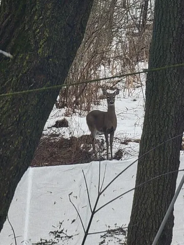 $265,000 | 2348 Segwun Avenue Southeast, Lowell, MI 49331