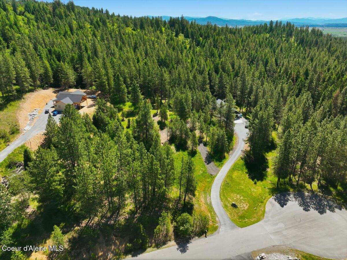 Nka North Saddle Ridge Road Rathdrum, ID 83858 - Photo 3 of 12 03-NKA N Saddle Ridge Rd_RedHogMedia