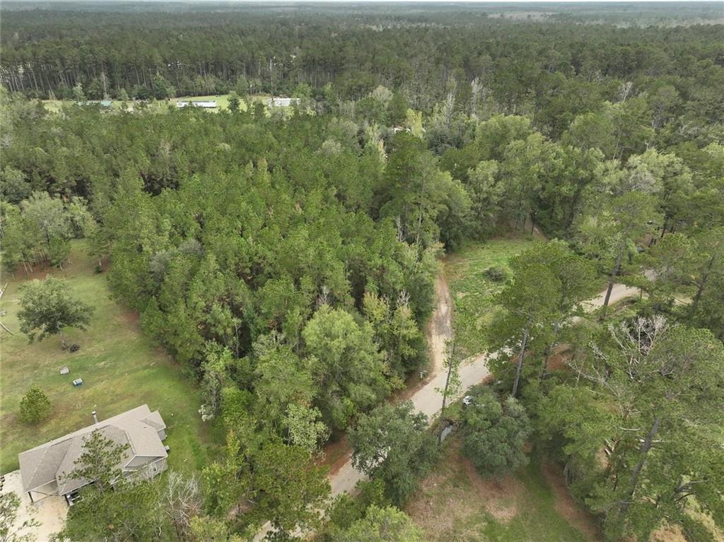 27823 J C Stewart Road Albany, LA 70711 - Photo 3 of 9