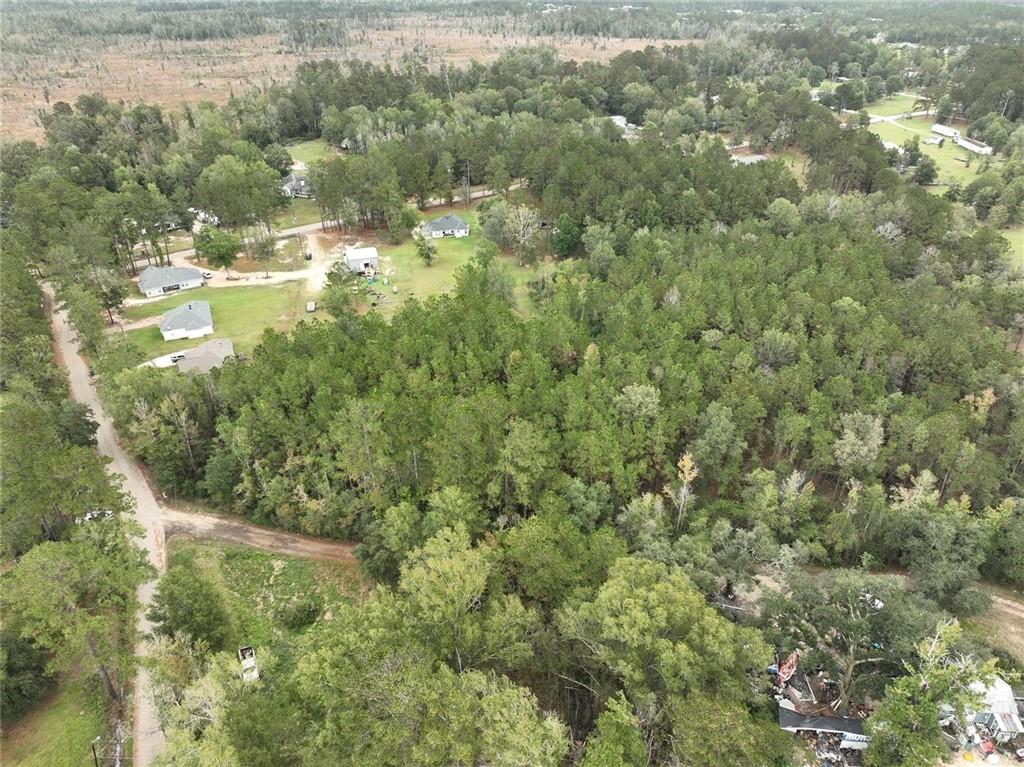 27823 J C Stewart Road Albany, LA 70711 - Photo 5 of 9