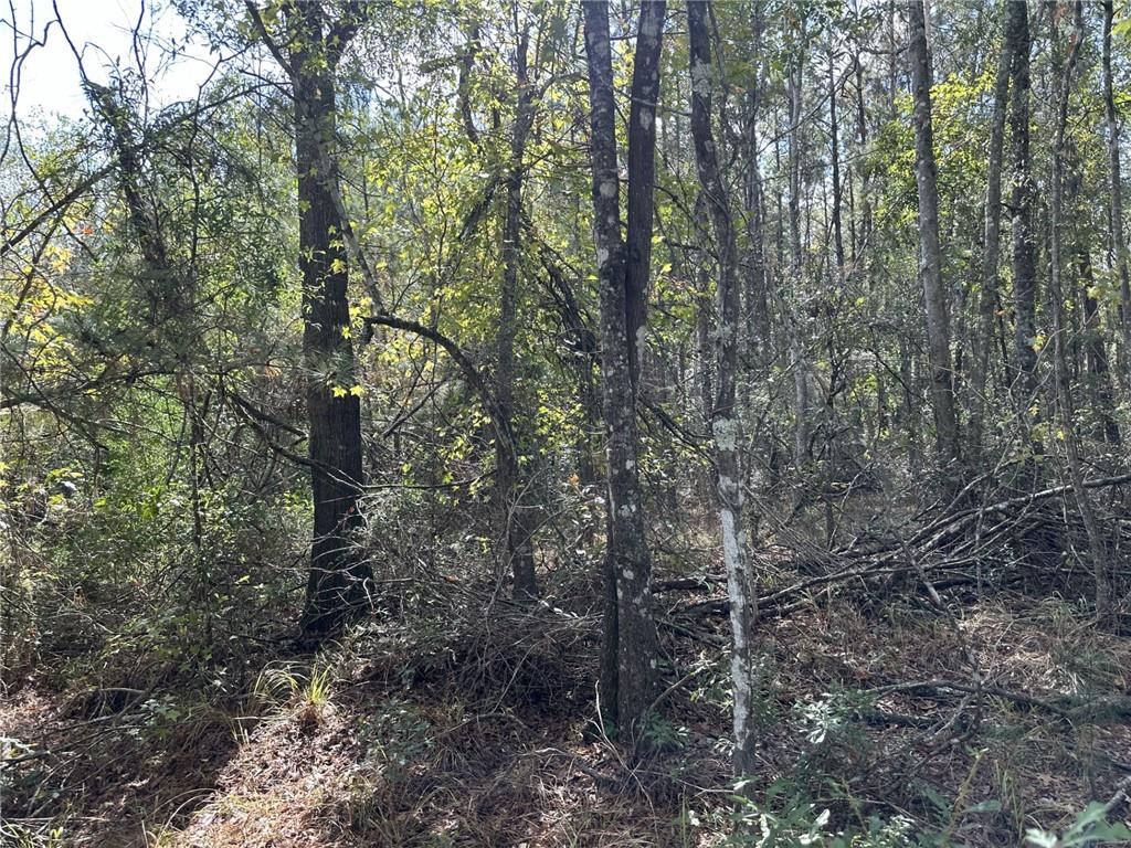 27823 J C Stewart Road Albany, LA 70711 - Photo 7 of 9