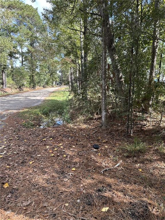 27823 J C Stewart Road Albany, LA 70711 - Photo 9 of 9