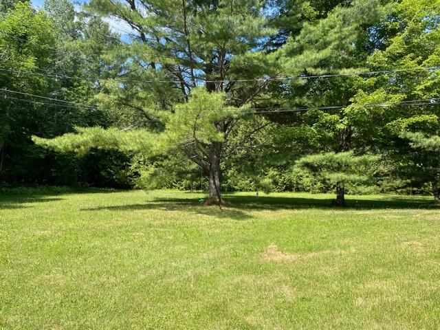 1734 Bowersock Road Indian River, MI 49749 - Photo 17 of 22 Gallery Image 17