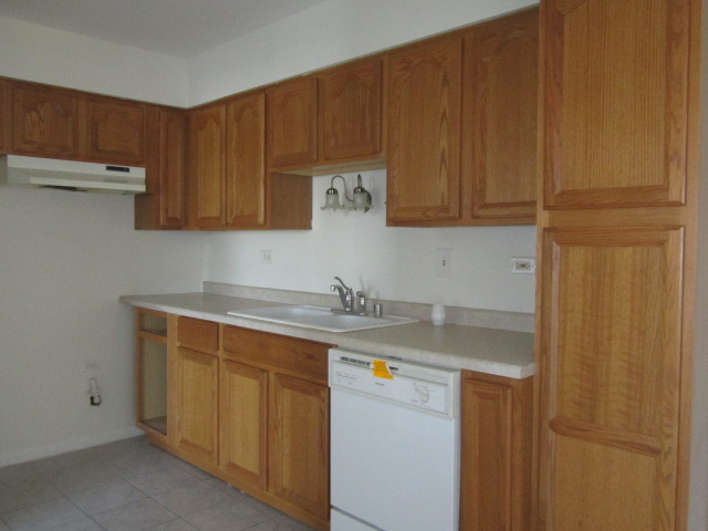 5724 West 111th Street, Unit 3B Chicago Ridge, IL 60415 - Photo 4 of 14 a kitchen with a sink and cabinets
