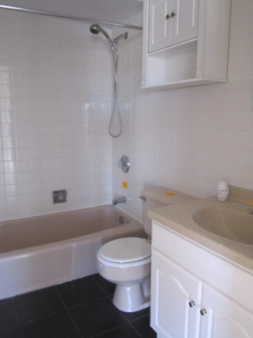 5724 West 111th Street, Unit 3B Chicago Ridge, IL 60415 - Photo 7 of 14 a white toilet sitting next to a bath tub