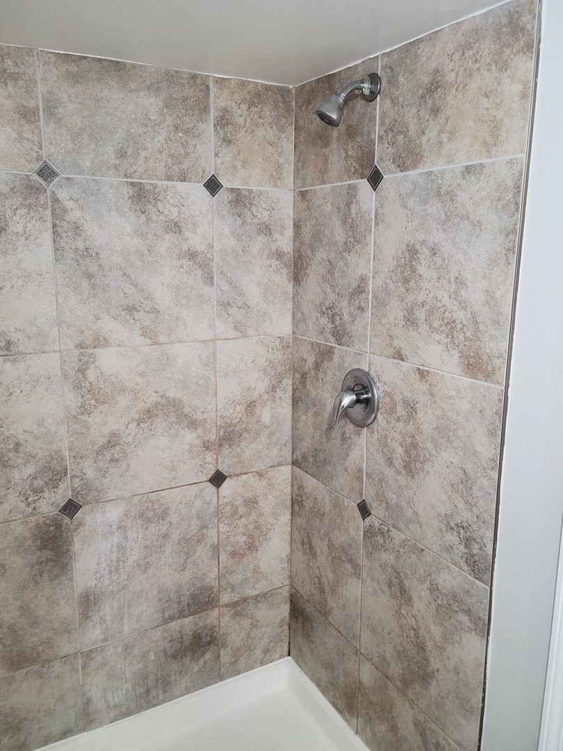 8800 South Ada Street Chicago, IL 60620 - Photo 8 of 20