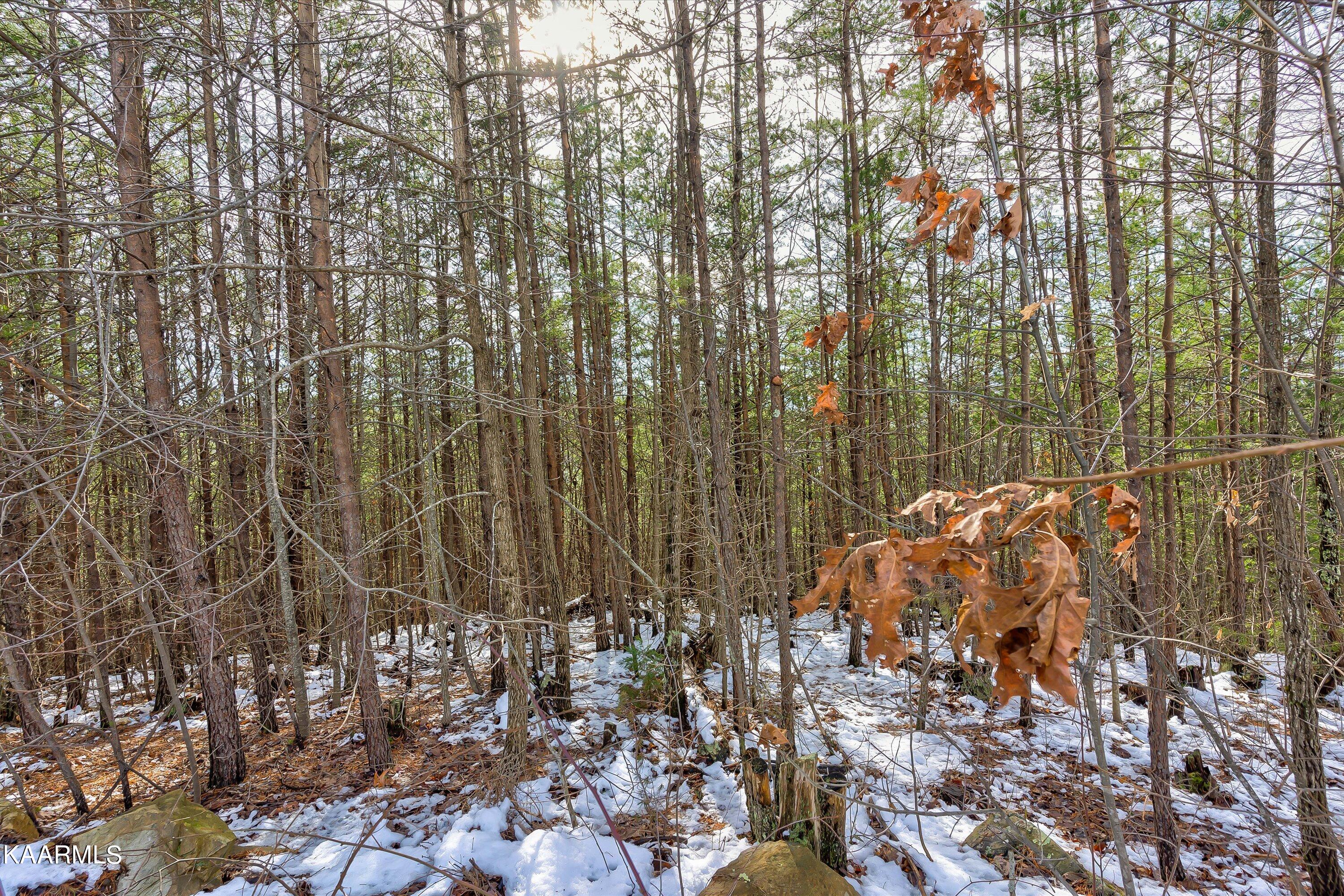 Covered Wagon Road Sevierville, TN 37862 - Photo 18 of 20 22-Covered Wagon Trl Lot 24E-22