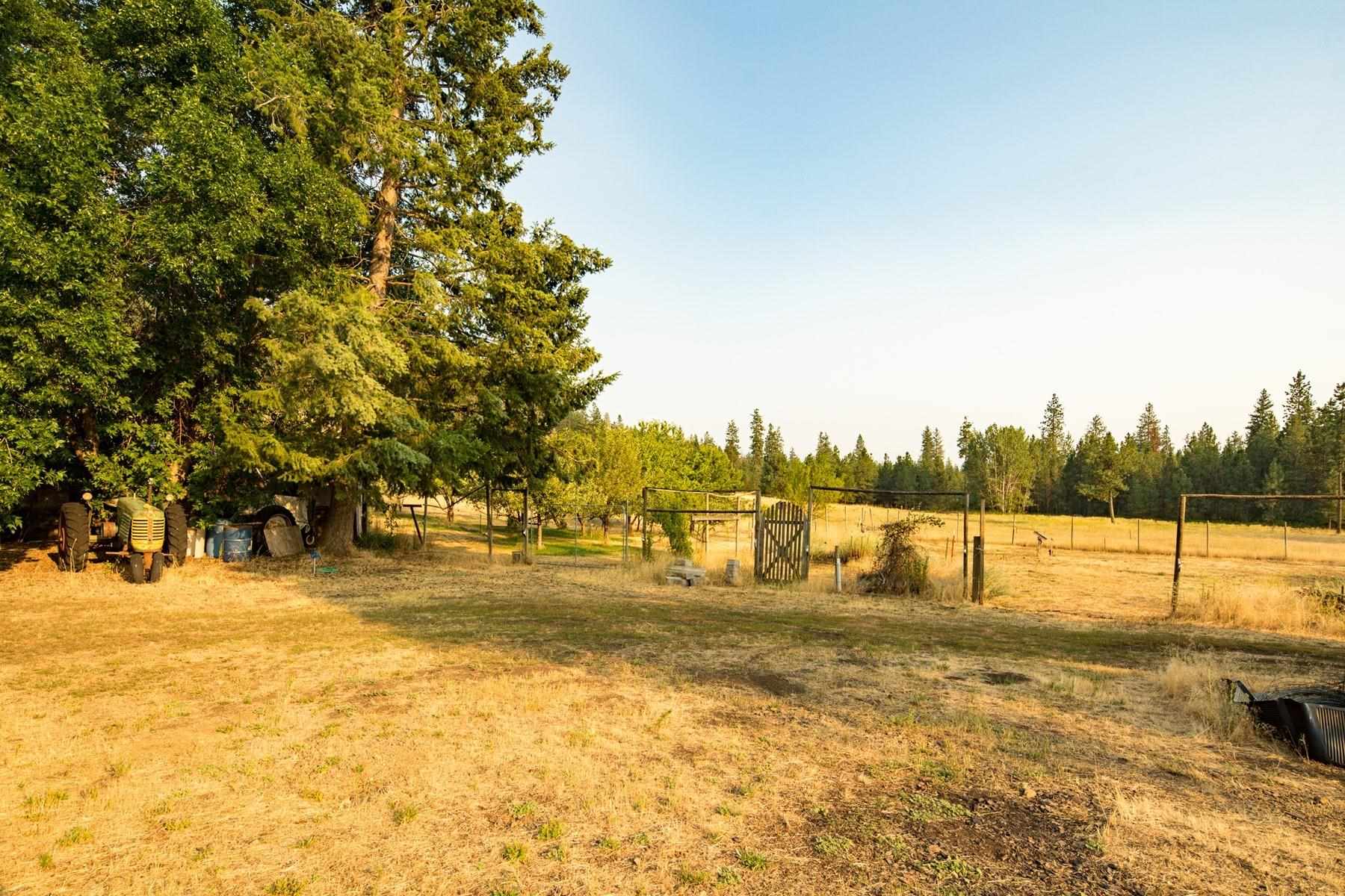 75 Quail Run Inchelium, WA 99138 - Photo 9 of 44