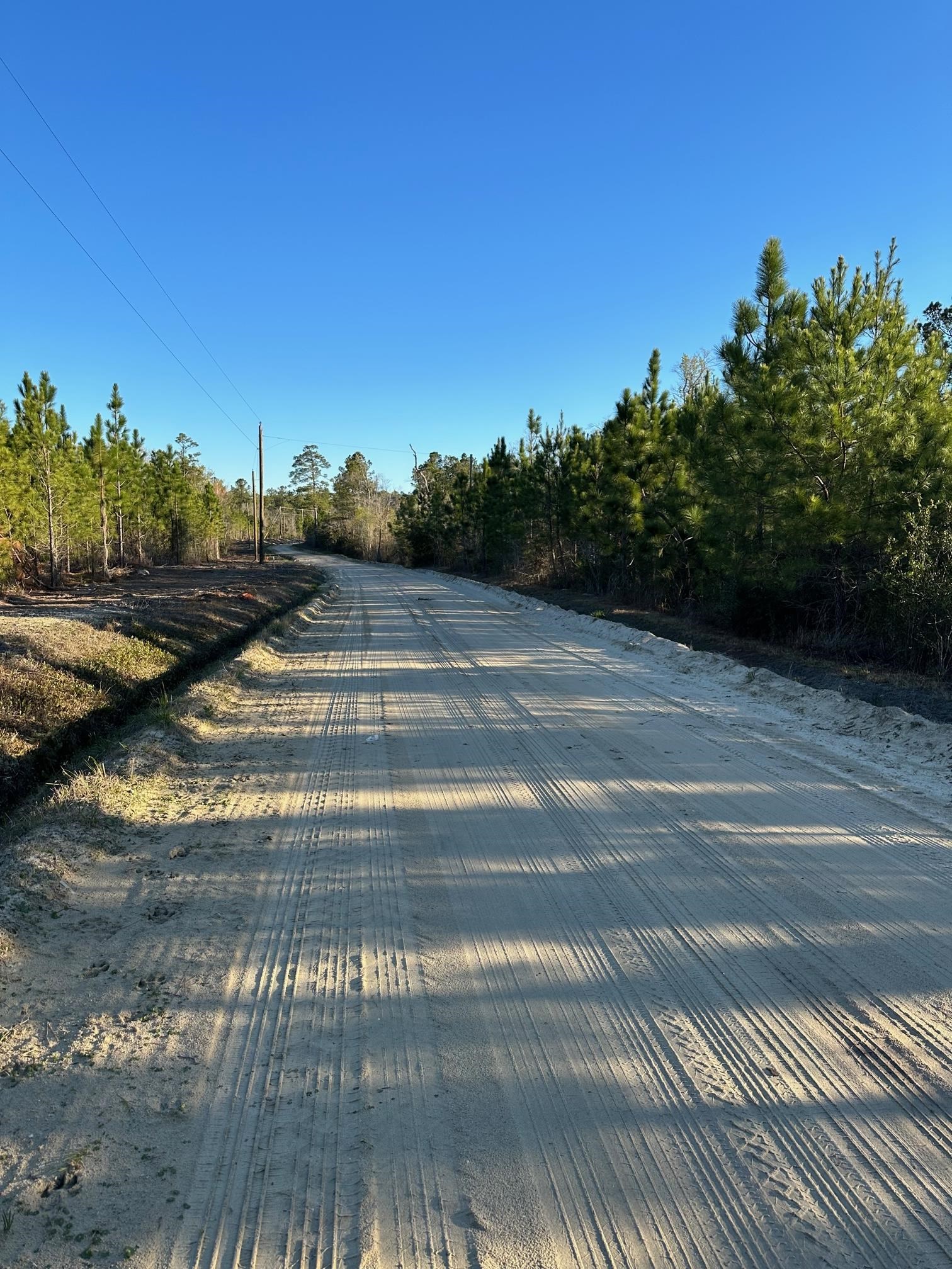 Tbd Barts Road Loris, SC 29569 - Photo 2 of 2