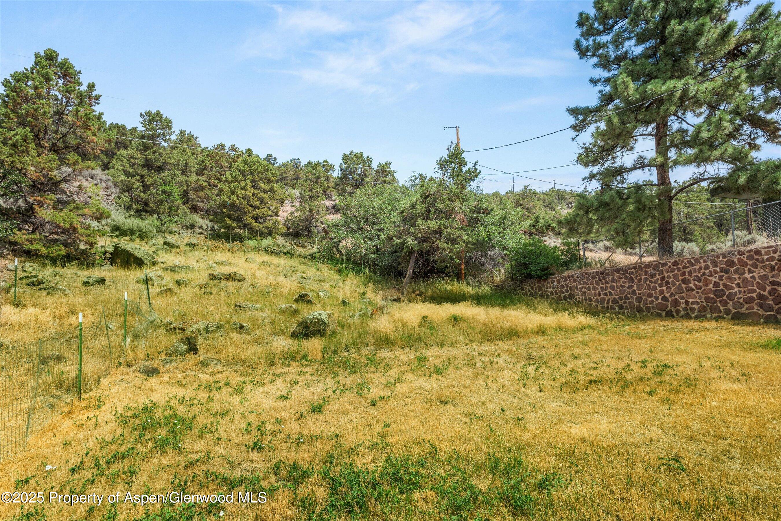 112 Hillside Drive Basalt, CO 81621 - Photo 27 of 28 a view of a yard with plants and trees