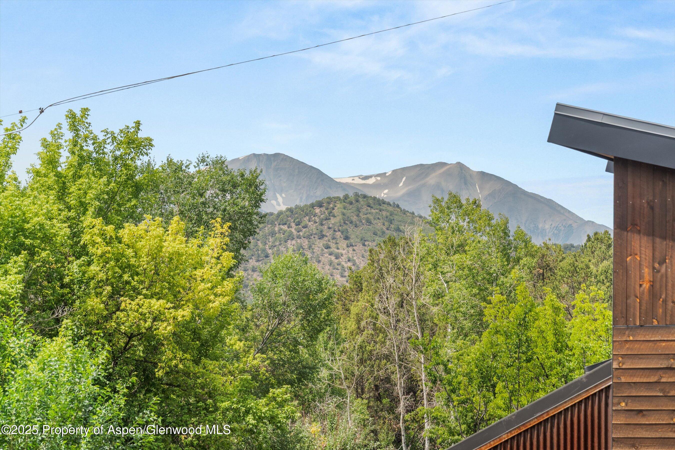 112 Hillside Drive Basalt, CO 81621 - Photo 28 of 28 a view of a yard with plants