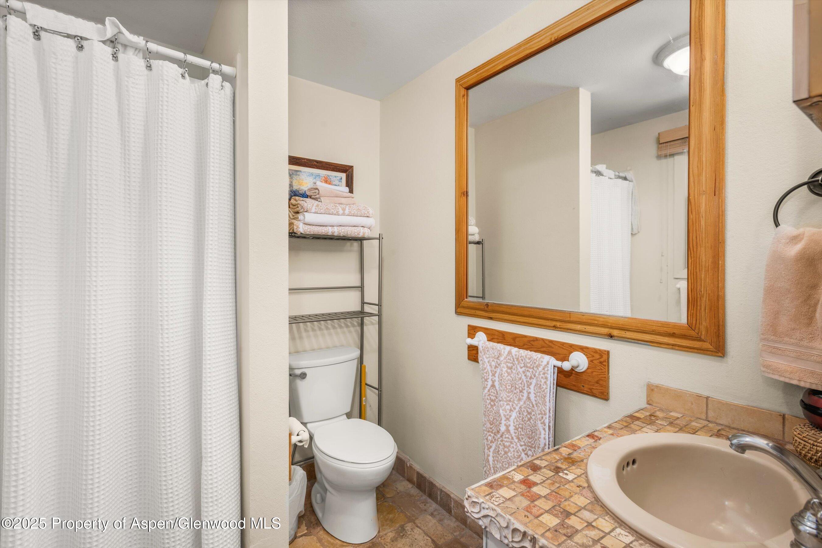 112 Hillside Drive Basalt, CO 81621 - Photo 10 of 28 a bathroom with a sink a toilet and shower curtain