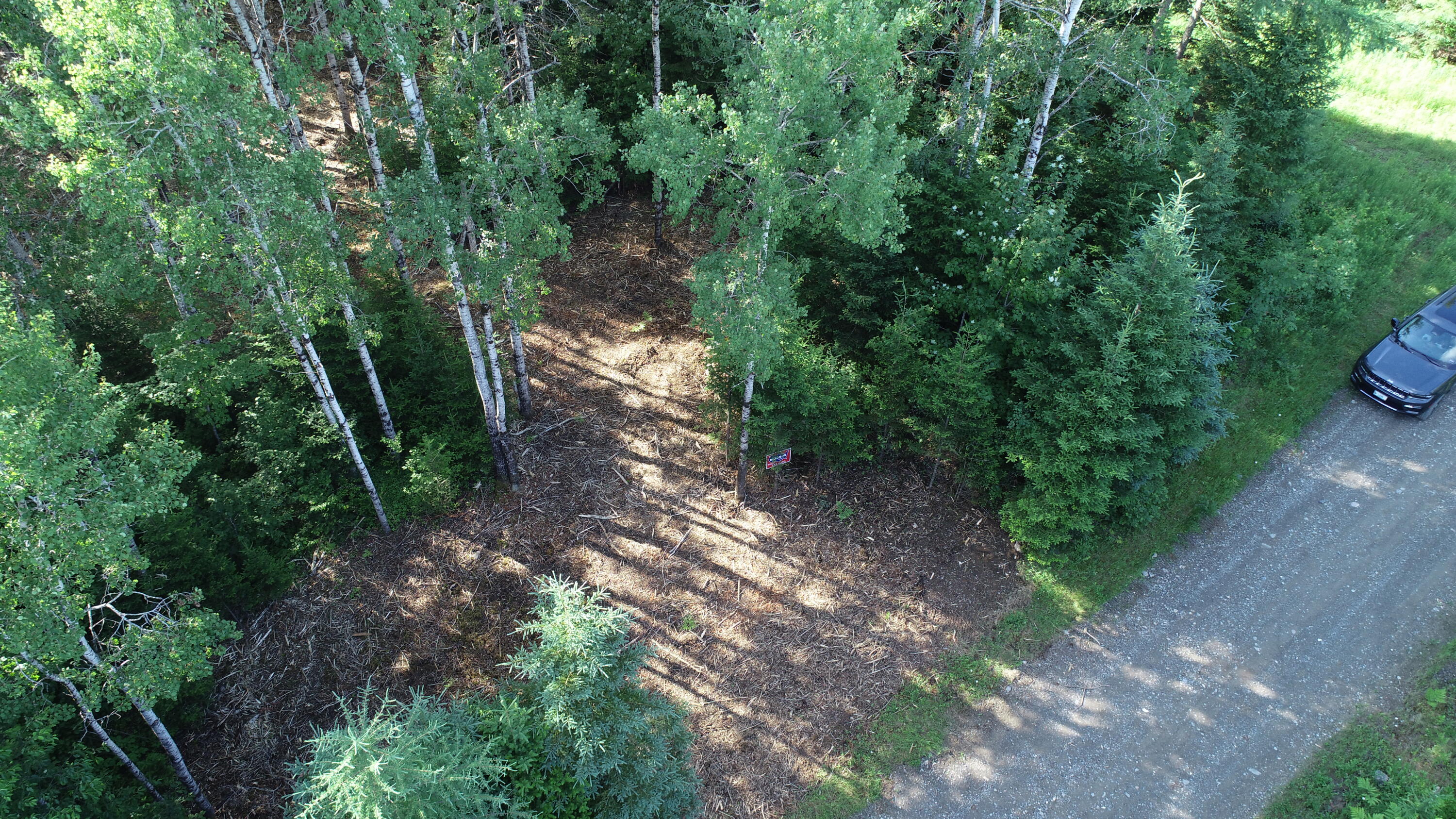 Lot 39 Smith (haney) Road Orient, ME 04471 - Photo 11 of 25 DJI_0129