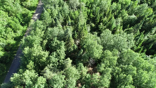 $19,500 | Lot 39 Smith (haney) Road, Orient, ME 04471