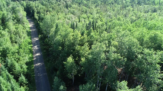 $19,500 | Lot 39 Smith (haney) Road, Orient, ME 04471