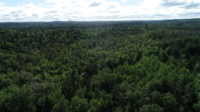 $19,500 | Lot 39 Smith (haney) Road, Orient, ME 04471