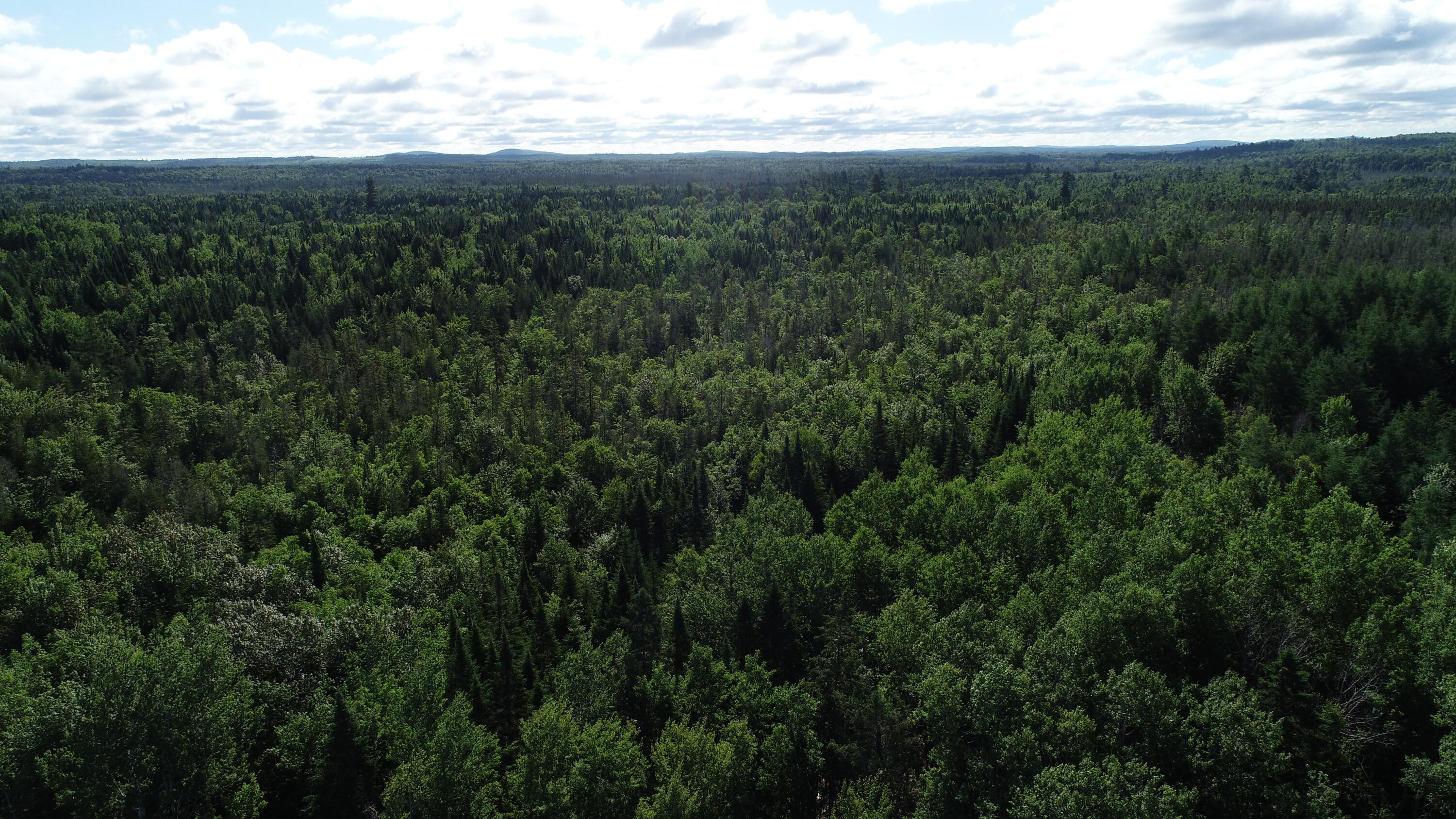 Lot 39 Smith (haney) Road Orient, ME 04471 - Photo 15 of 25 DJI_0118