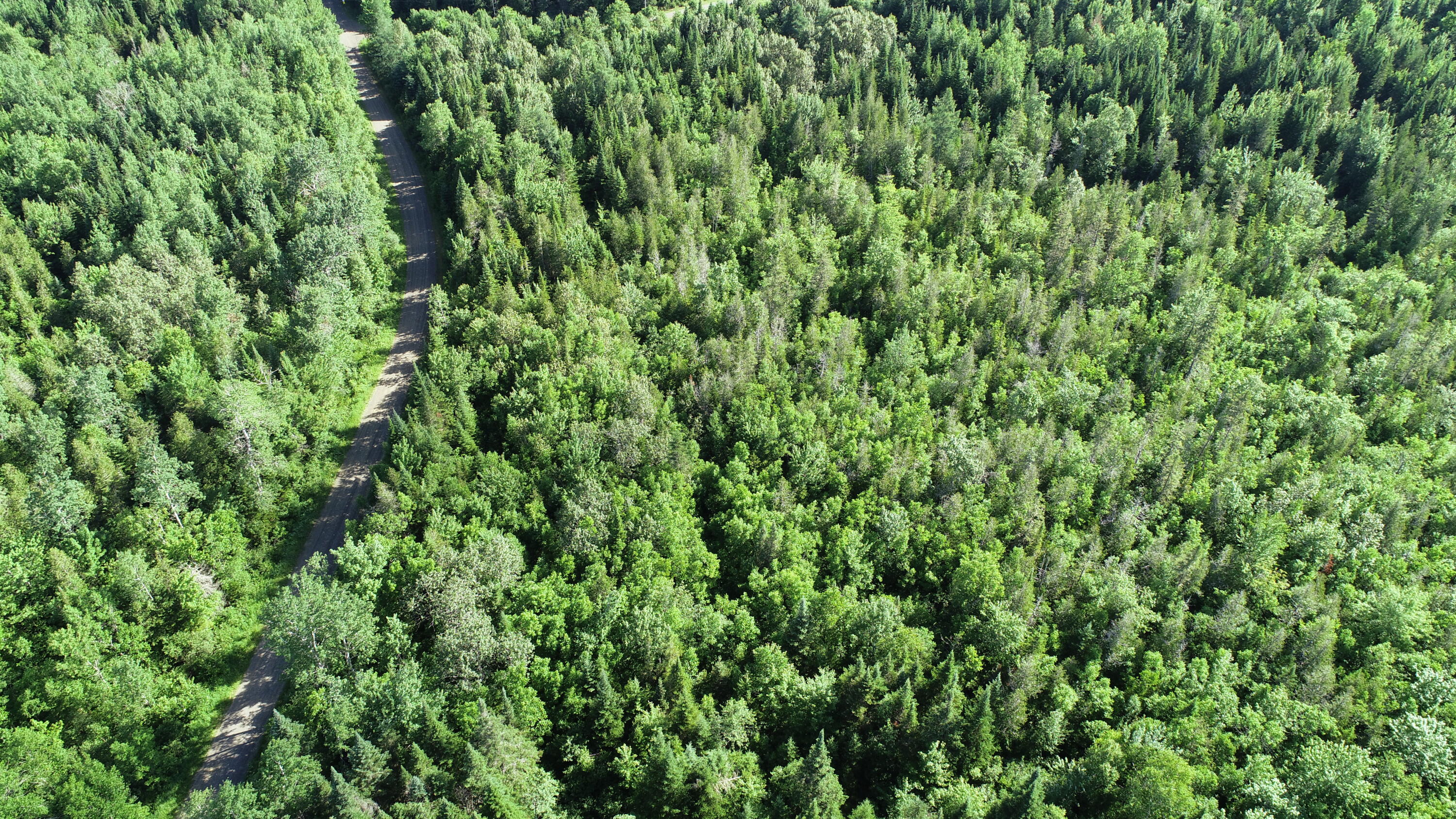 Lot 39 Smith (haney) Road Orient, ME 04471 - Photo 16 of 25 DJI_0112