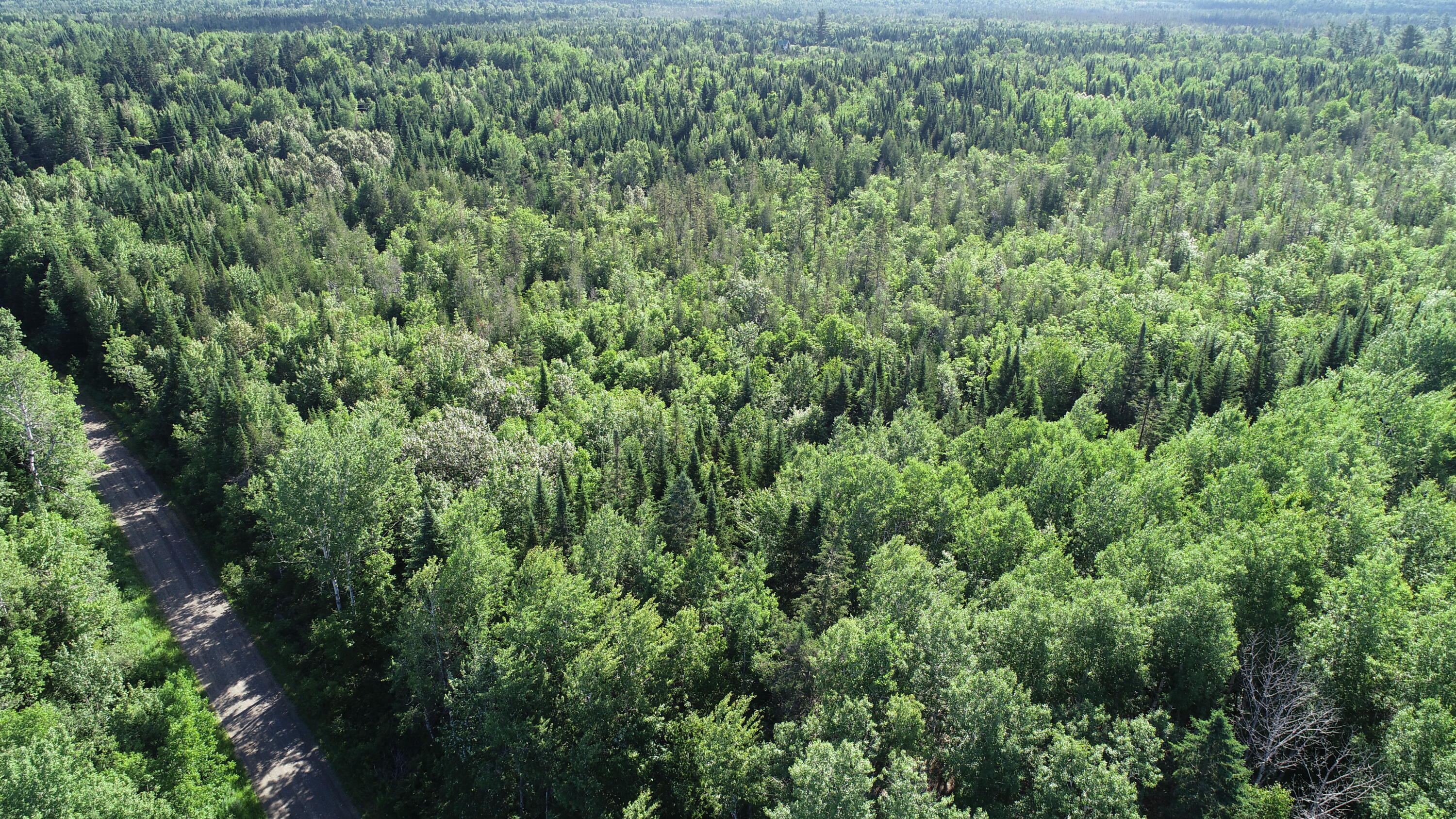 Lot 39 Smith (haney) Road Orient, ME 04471 - Photo 17 of 25 DJI_0105