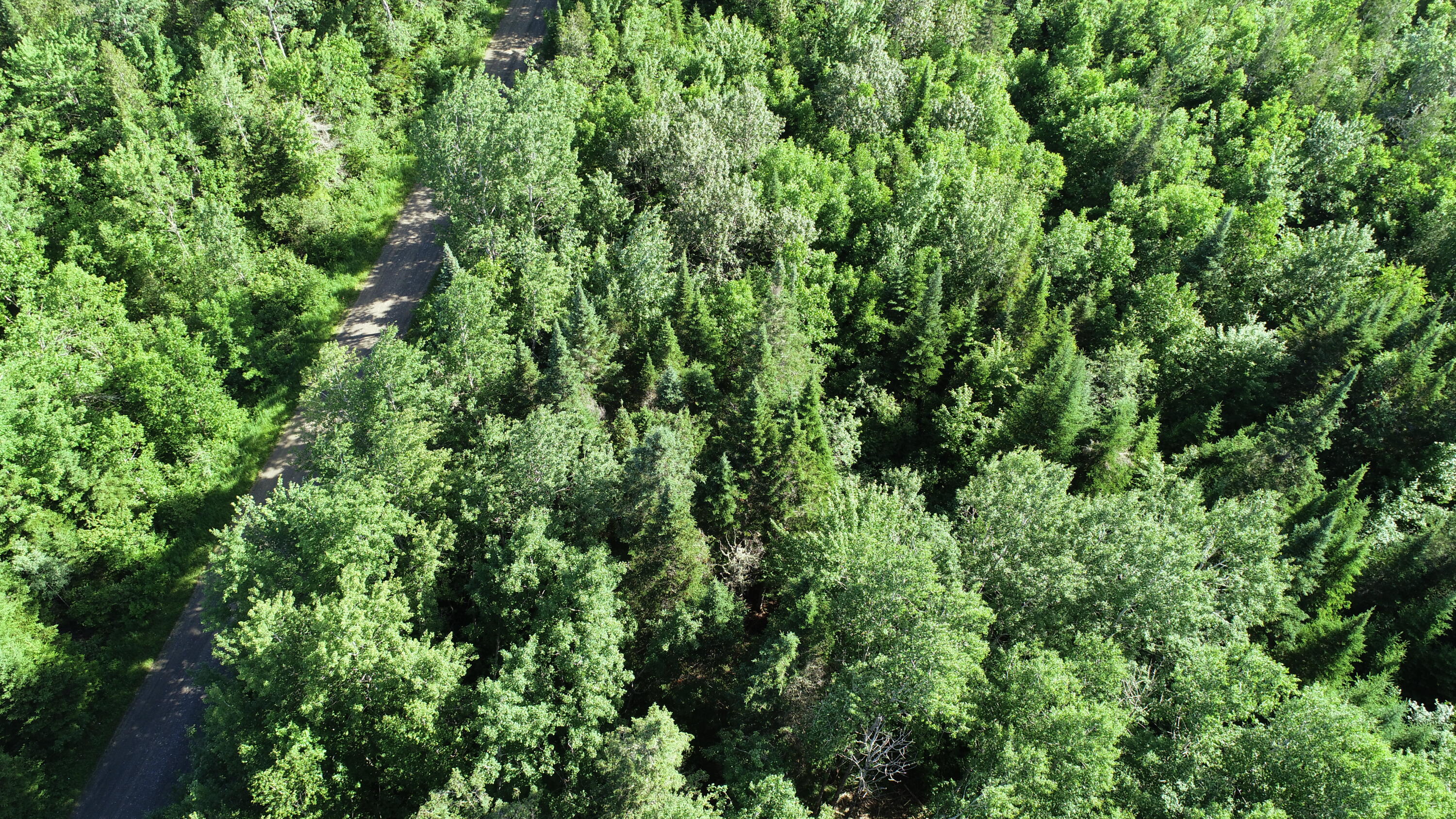 Lot 39 Smith (haney) Road Orient, ME 04471 - Photo 18 of 25 DJI_0109