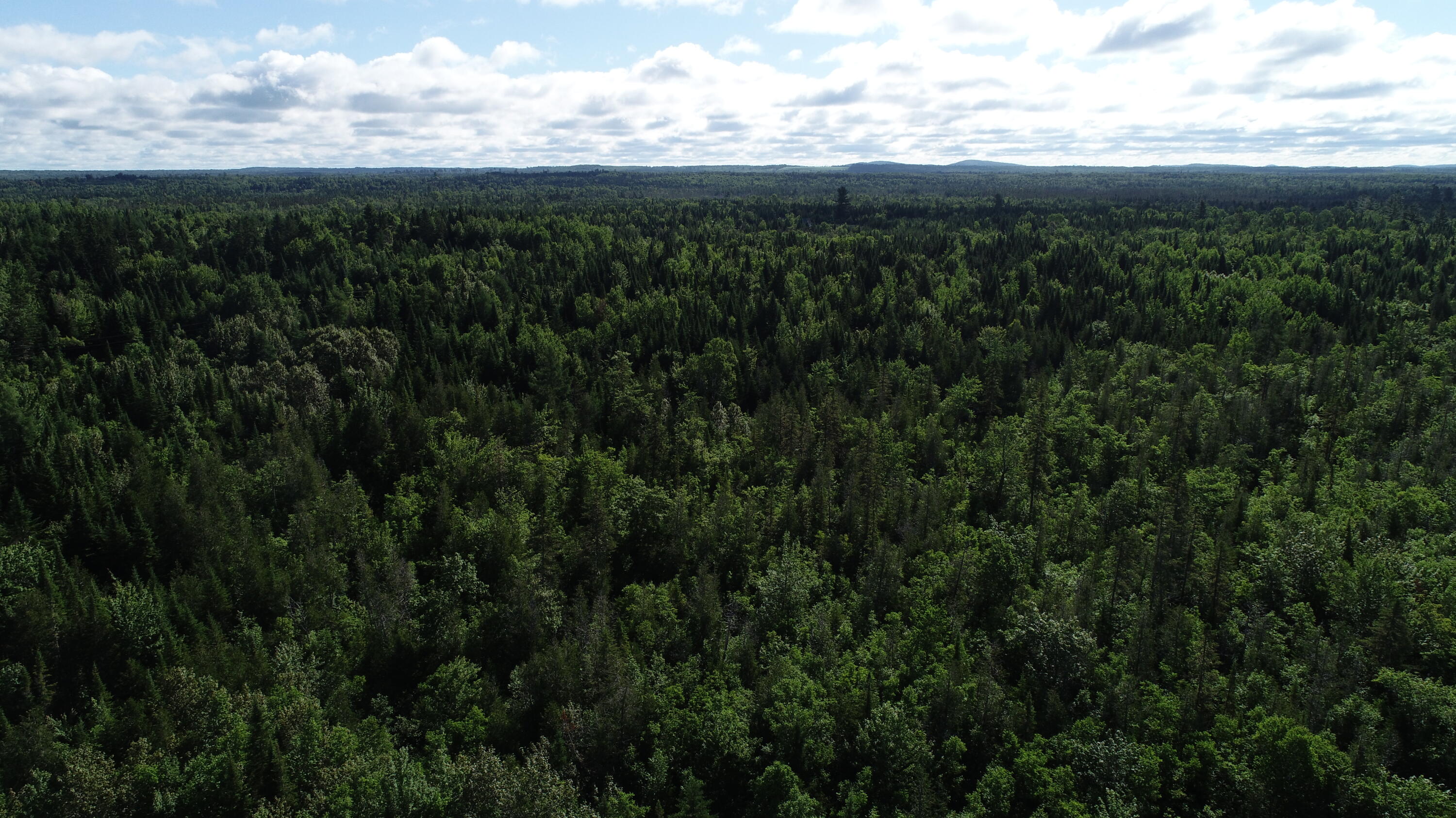 Lot 39 Smith (haney) Road Orient, ME 04471 - Photo 19 of 25 DJI_0116