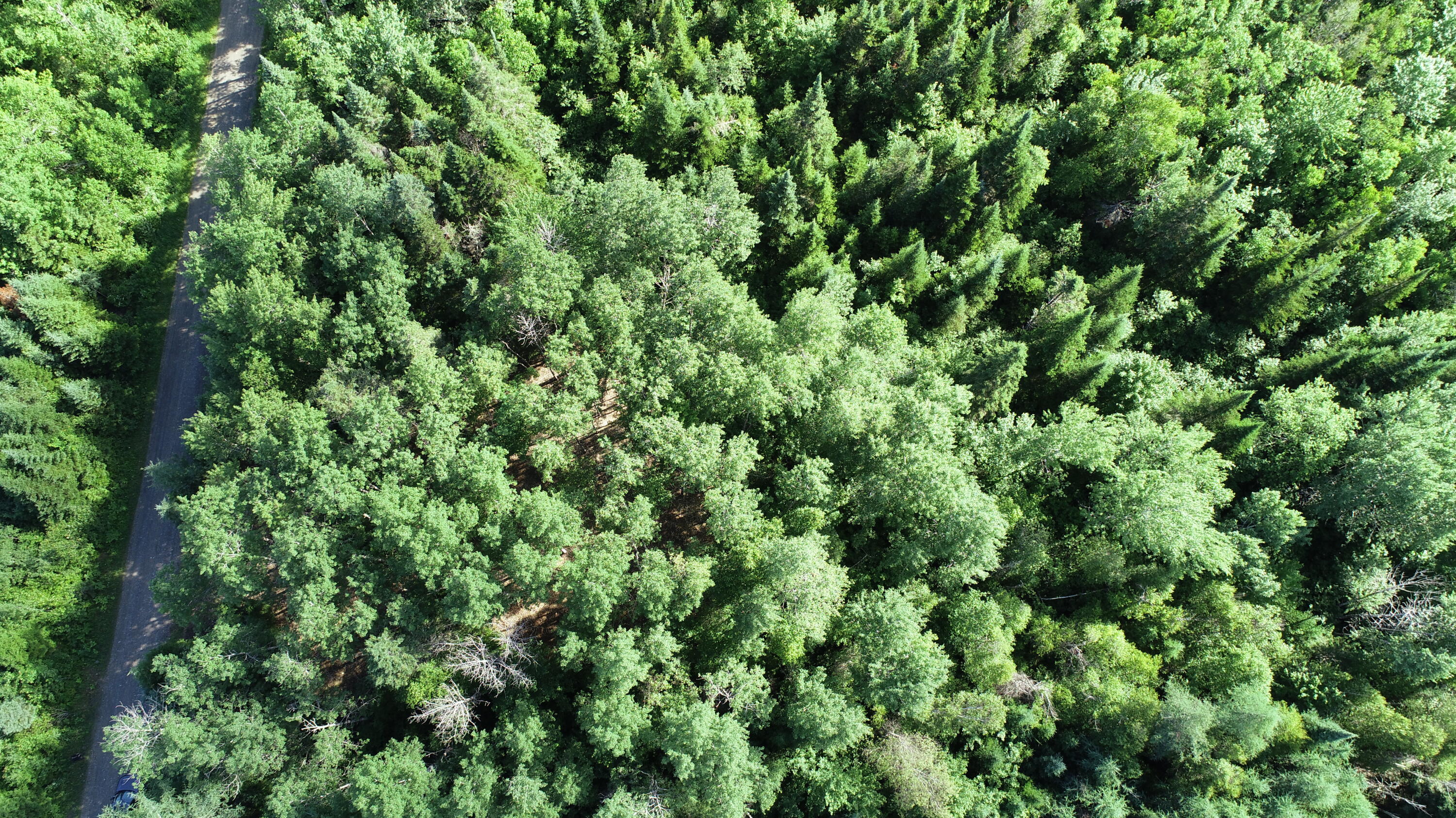 Lot 39 Smith (haney) Road Orient, ME 04471 - Photo 20 of 25 DJI_0113
