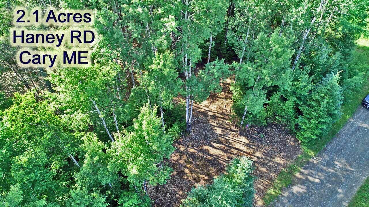 Lot 39 Smith (haney) Road Orient, ME 04471 - Photo 2 of 25 small-me-land-listing-for-s