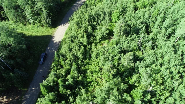 $19,500 | Lot 39 Smith (haney) Road, Orient, ME 04471