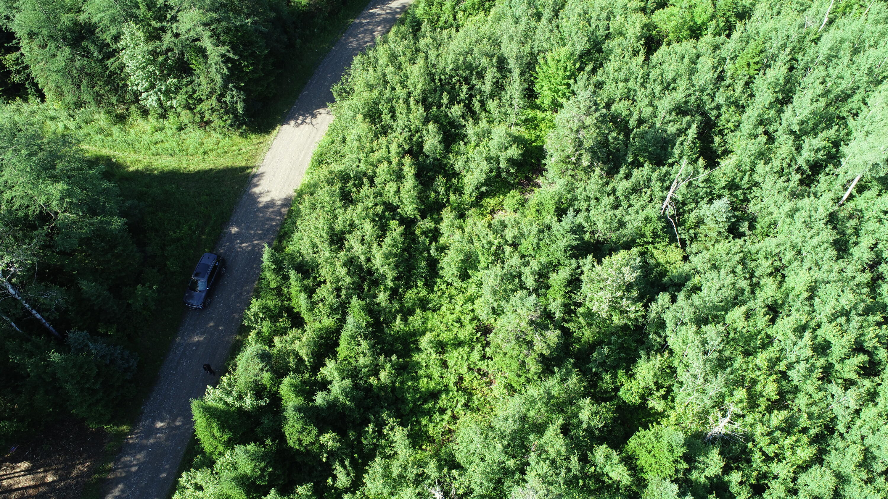 Lot 39 Smith (haney) Road Orient, ME 04471 - Photo 21 of 25 DJI_0121