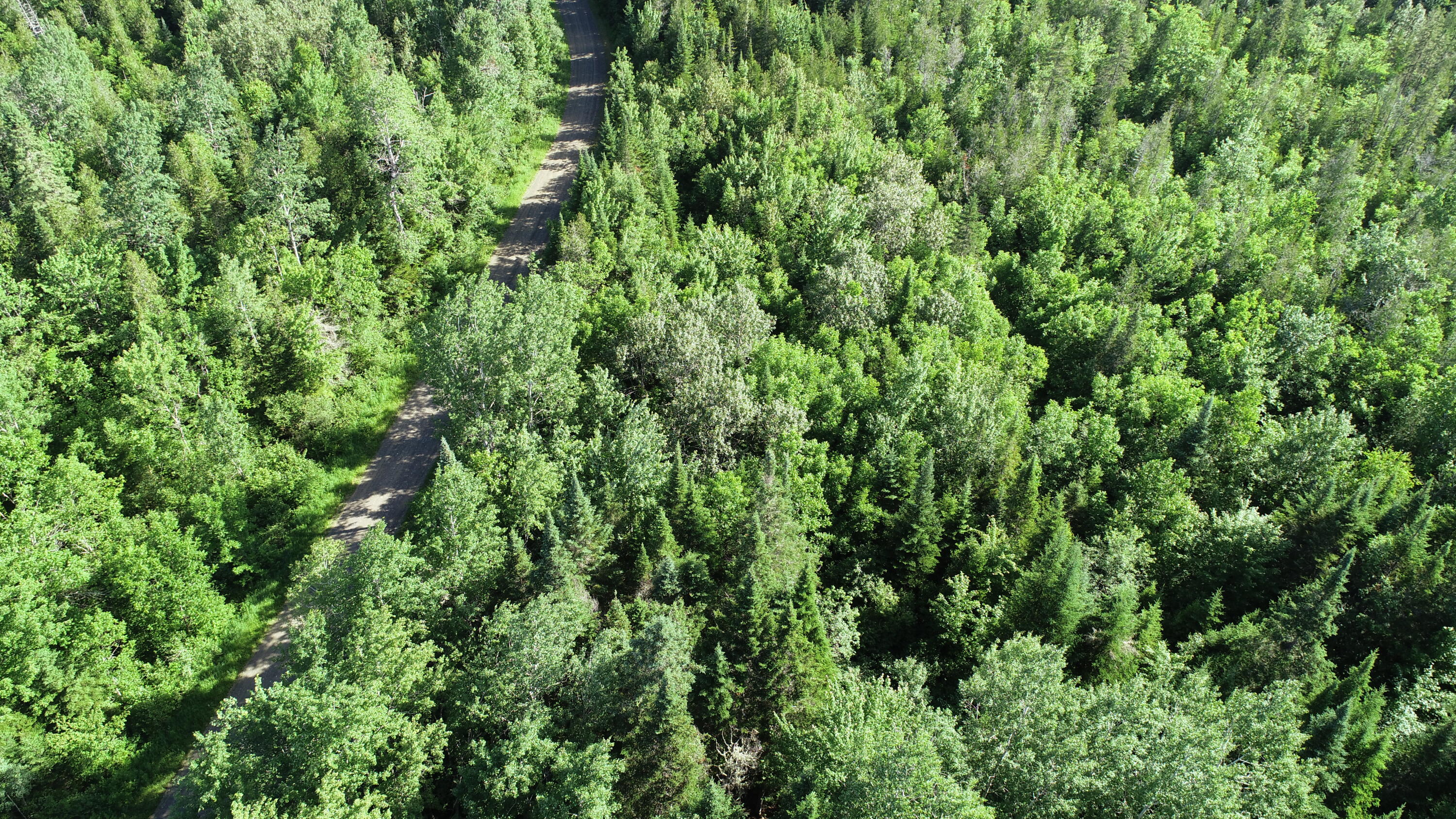 Lot 39 Smith (haney) Road Orient, ME 04471 - Photo 22 of 25 DJI_0110