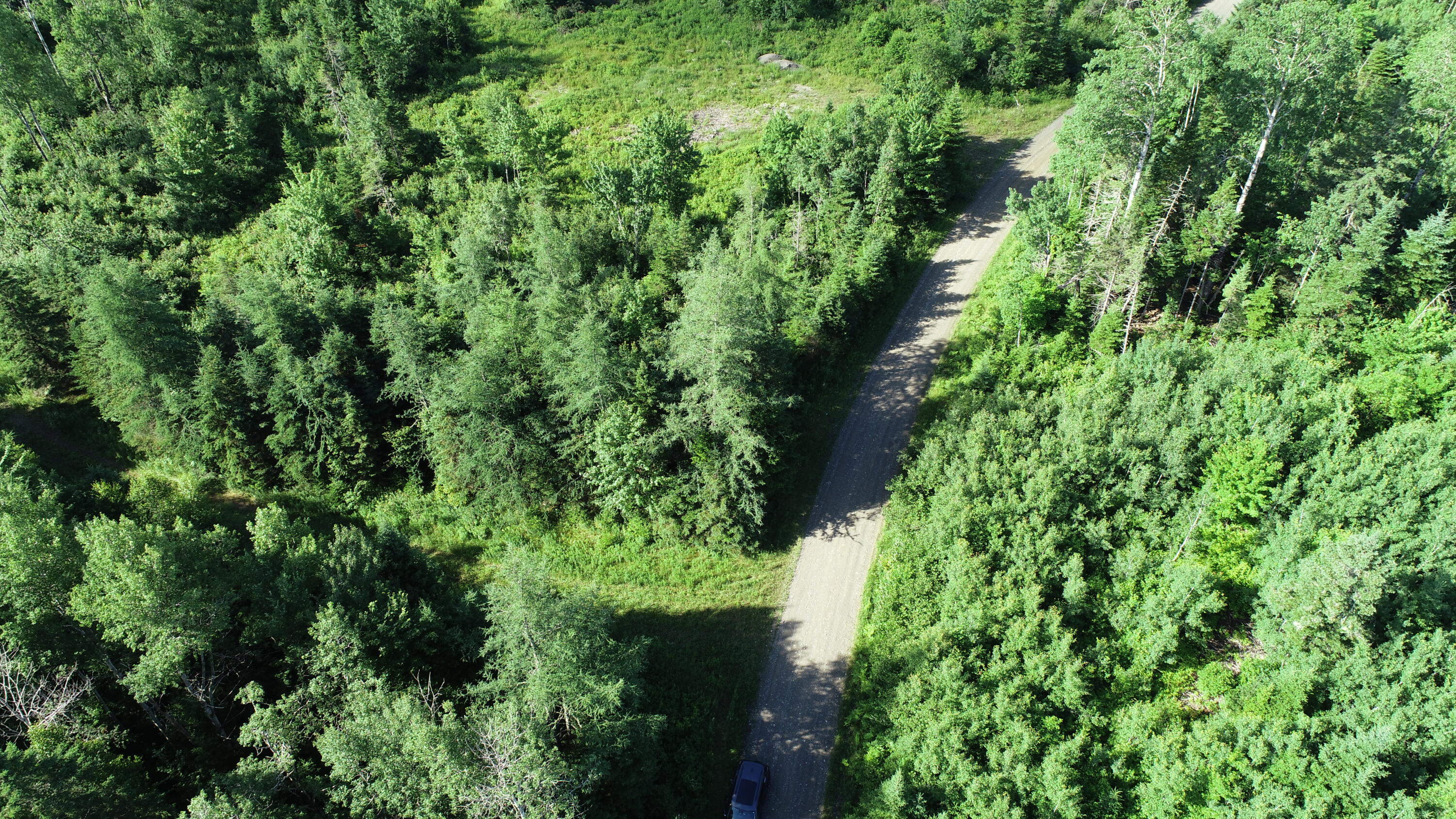 Lot 39 Smith (haney) Road Orient, ME 04471 - Photo 23 of 25 DJI_0124