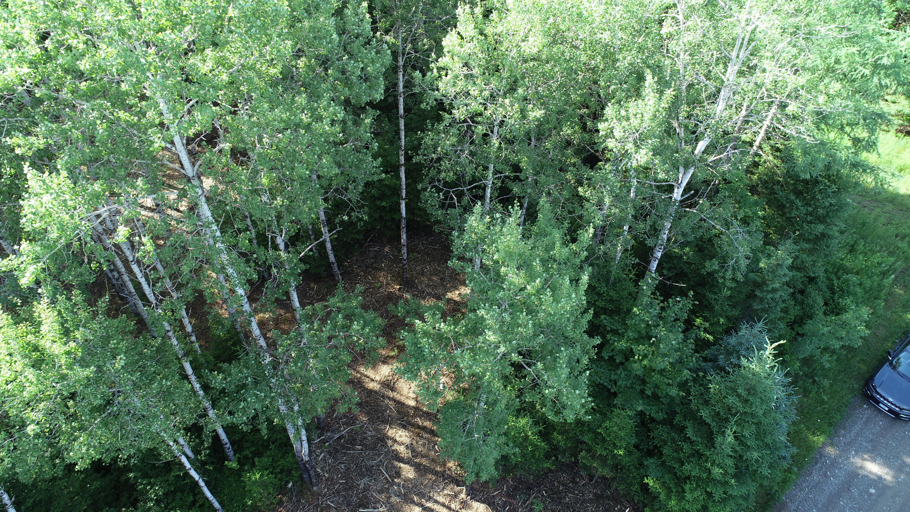 Lot 39 Smith (haney) Road Orient, ME 04471 - Photo 24 of 25 DJI_0127