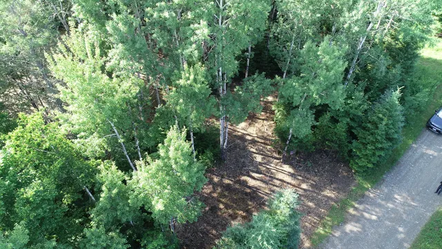 $19,500 | Lot 39 Smith (haney) Road, Orient, ME 04471