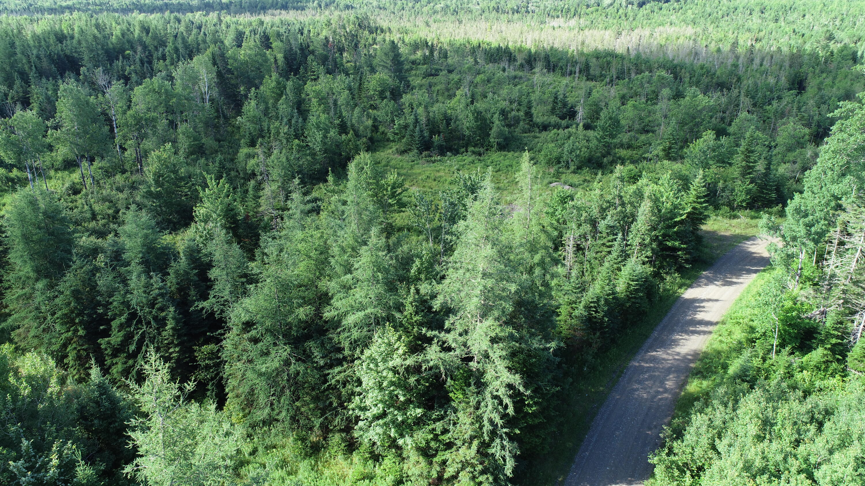 Lot 39 Smith (haney) Road Orient, ME 04471 - Photo 3 of 25 DJI_0100