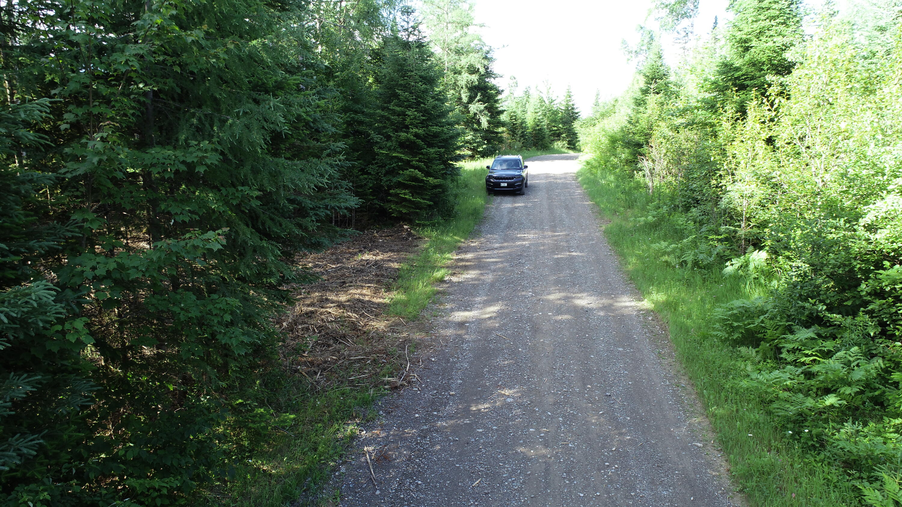 Lot 39 Smith (haney) Road Orient, ME 04471 - Photo 4 of 25 DJI_0134