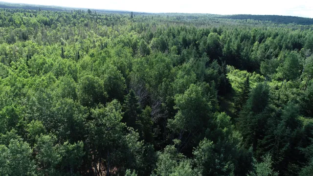 $19,500 | Lot 39 Smith (haney) Road, Orient, ME 04471