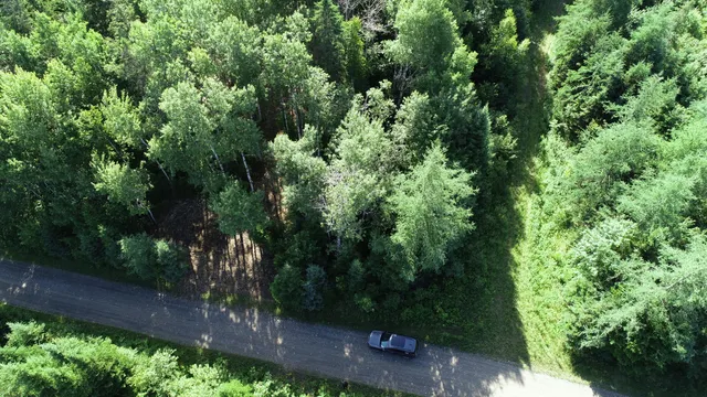 $19,500 | Lot 39 Smith (haney) Road, Orient, ME 04471