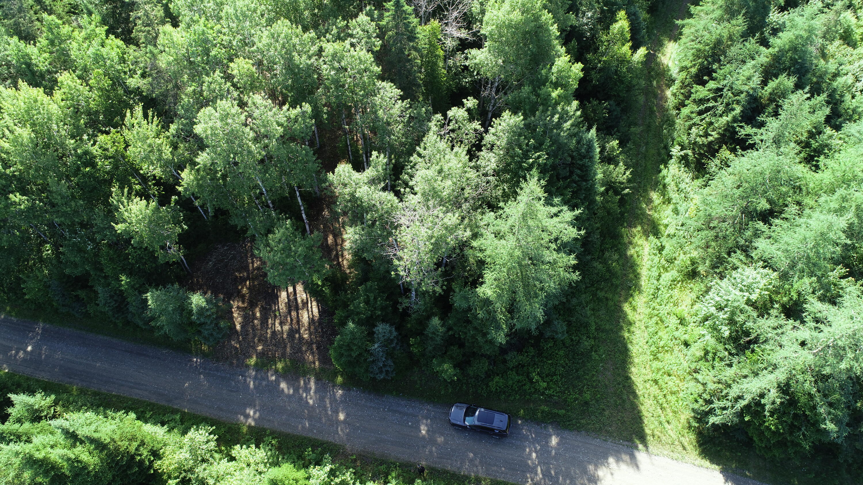 Lot 39 Smith (haney) Road Orient, ME 04471 - Photo 8 of 25 DJI_0106