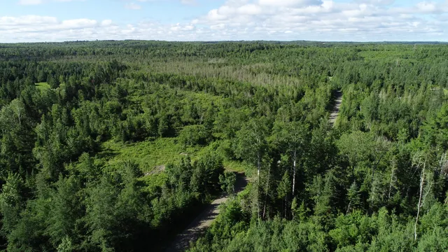 $19,500 | Lot 39 Smith (haney) Road, Orient, ME 04471