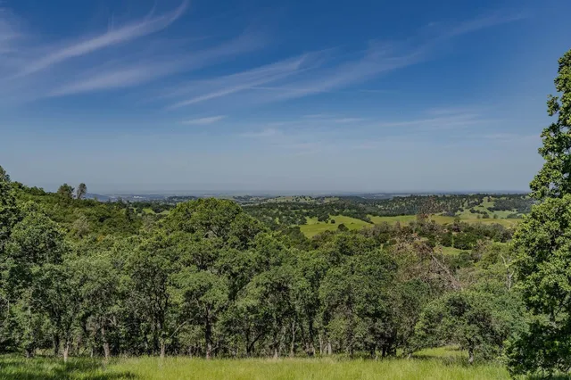 a view of an outdoor space and trees