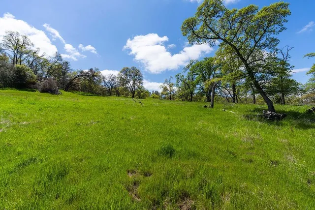a view of a big yard with a fountain and large trees