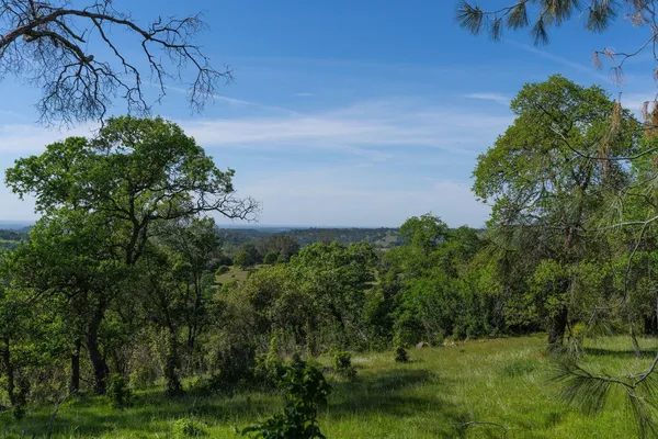 a view of a garden