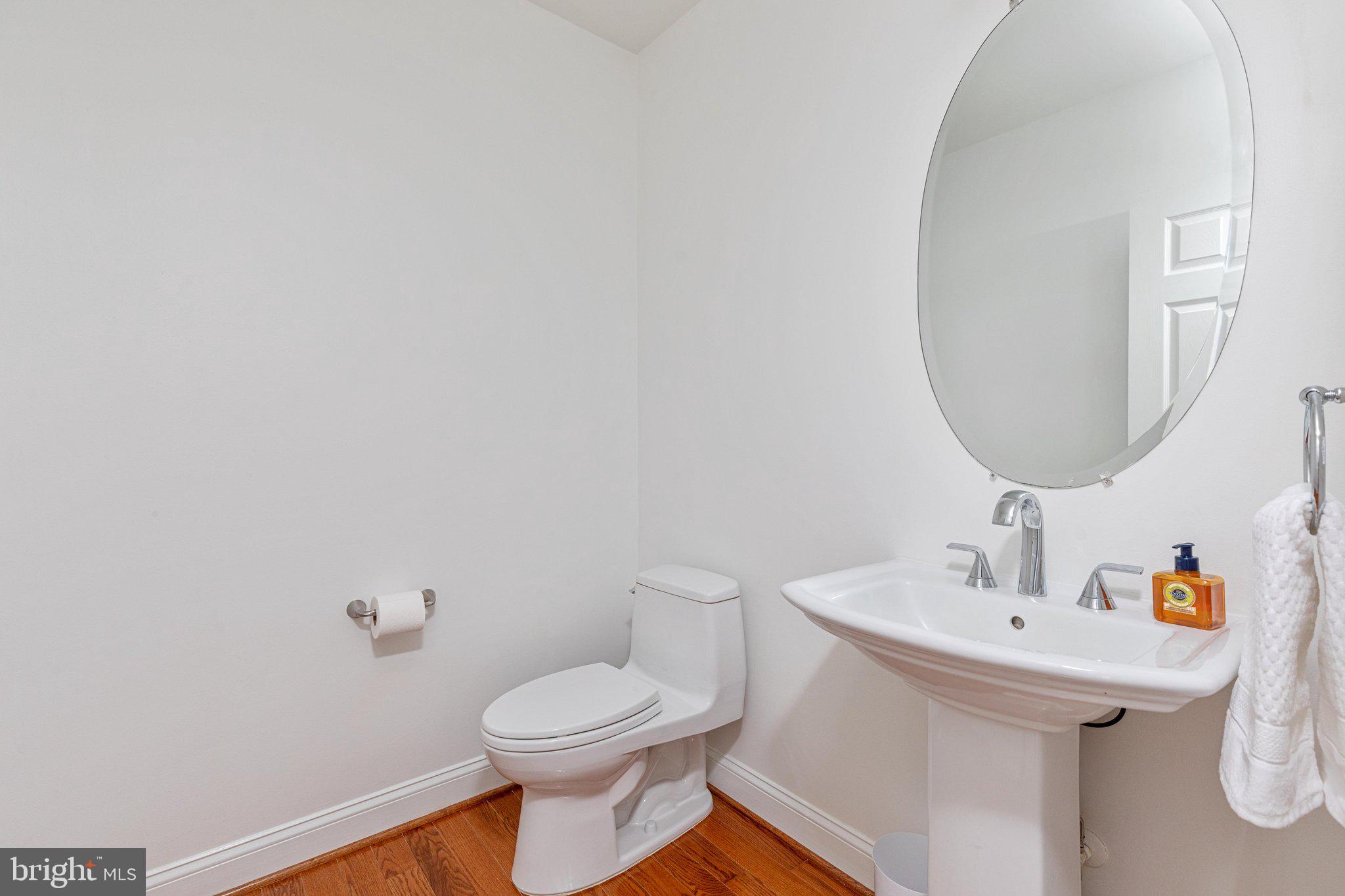 38786 Rambling Farm Drive Hamilton, VA 20158 - Photo 29 of 97 Main level half bath
