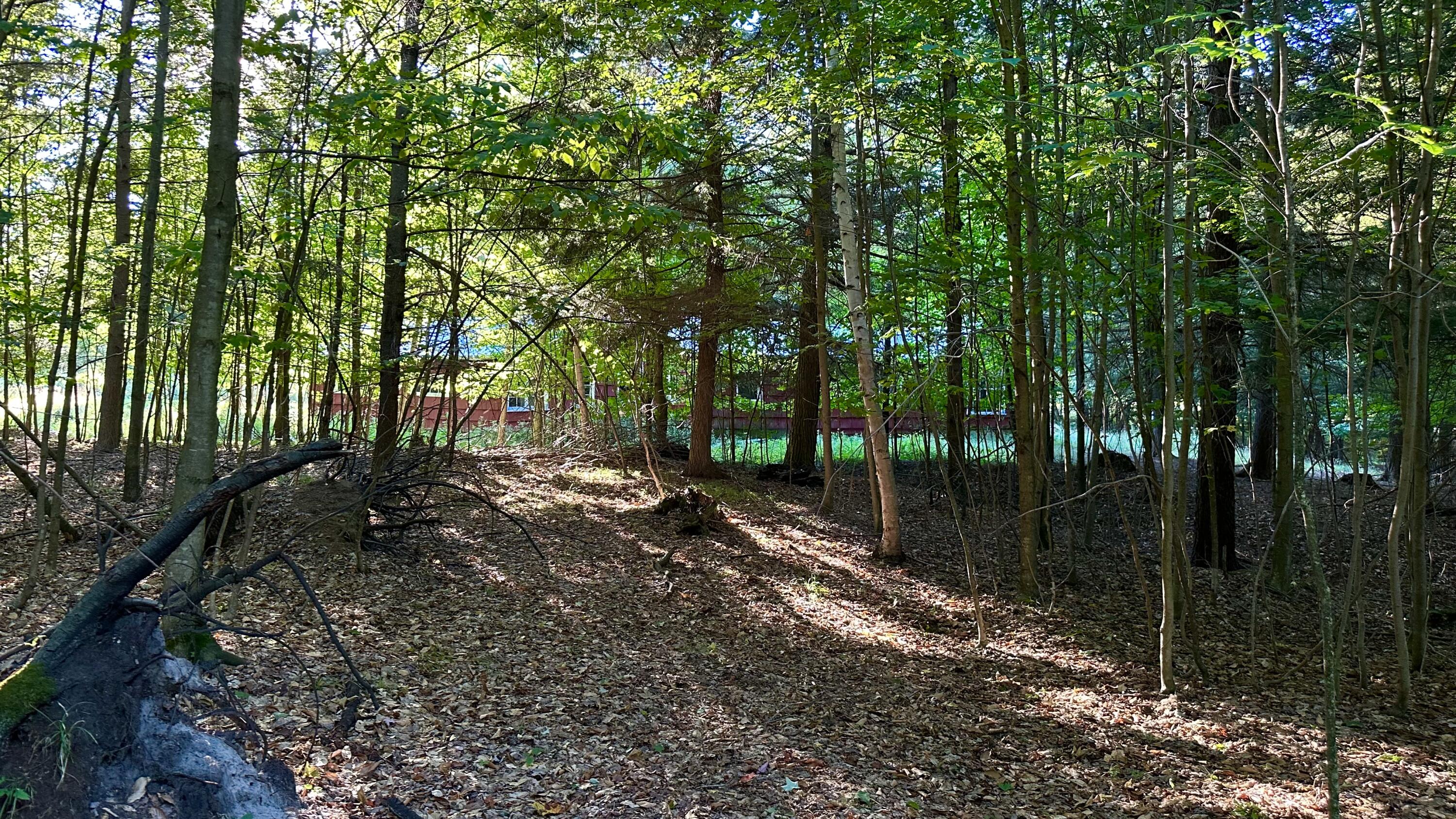 9067 East 64th Street Reed City, MI 49677 - Photo 5 of 13 IMG_5864