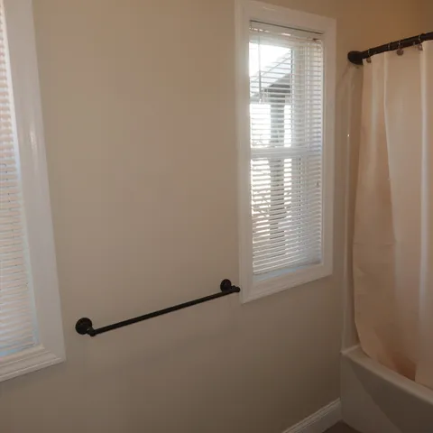 a bathroom with a shower and a toilet