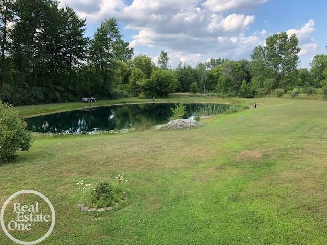 8390 Arendt Road Yale, MI 48097 - Photo 42 of 53