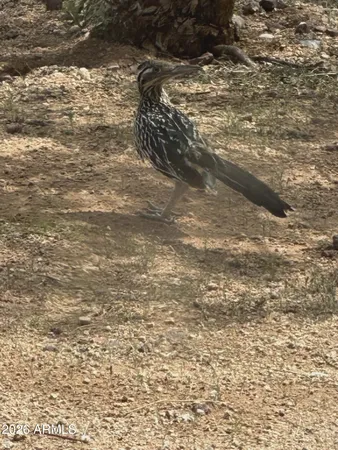 $900,000 | 7530 West Bucking Horse Road, Sahuarita, AZ 85629