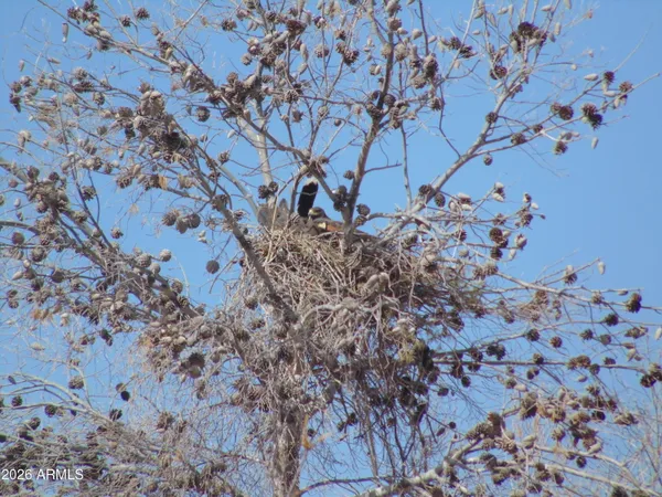 $900,000 | 7530 West Bucking Horse Road, Sahuarita, AZ 85629